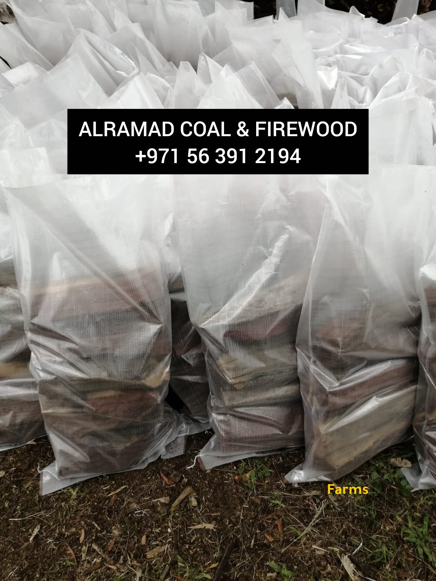 فحم وحطب أفريقي ممتاز