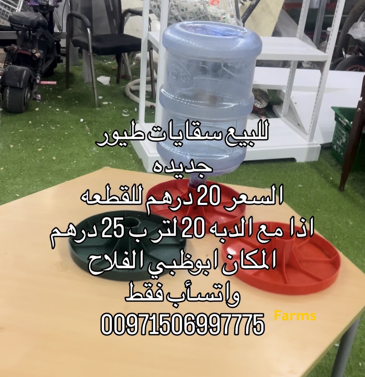 سقايات طيور