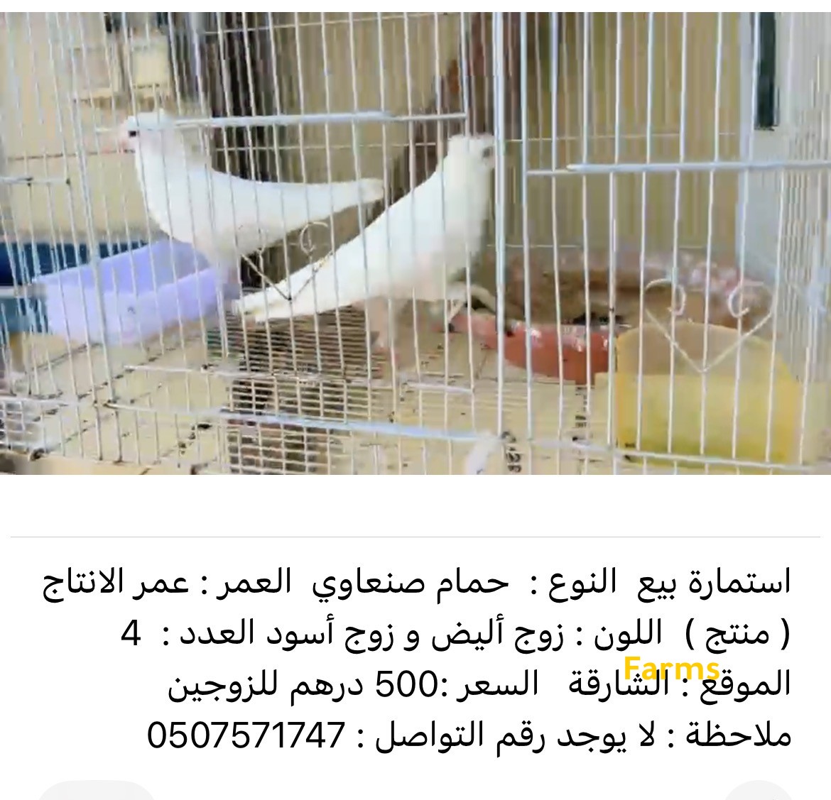 حمام صنعاوي للبيع