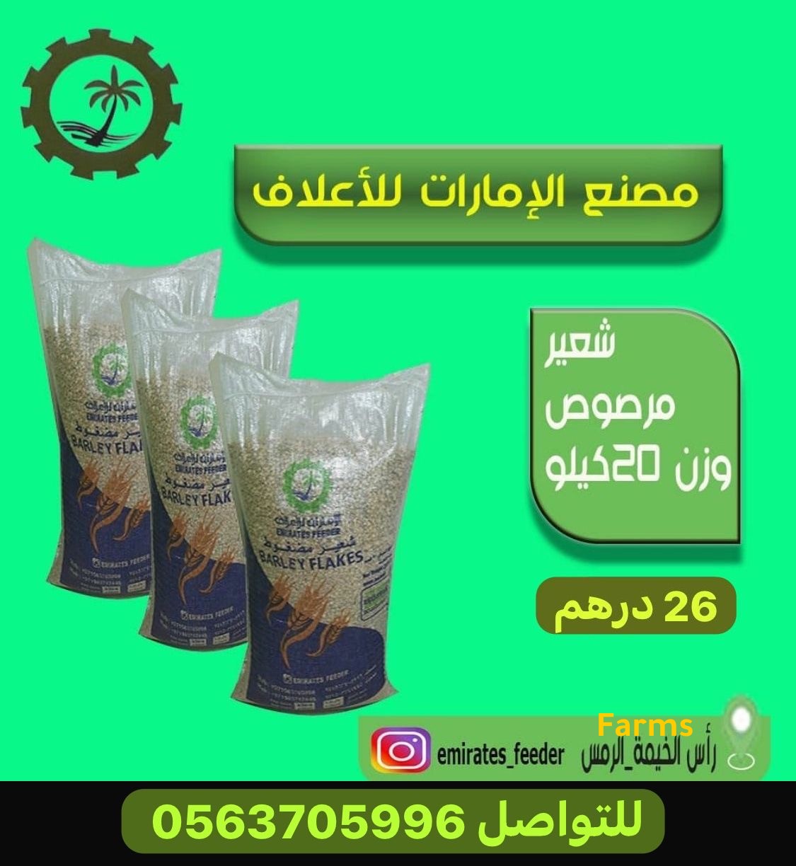 شعير مرصوص مصنع الامارات راس الخيمه