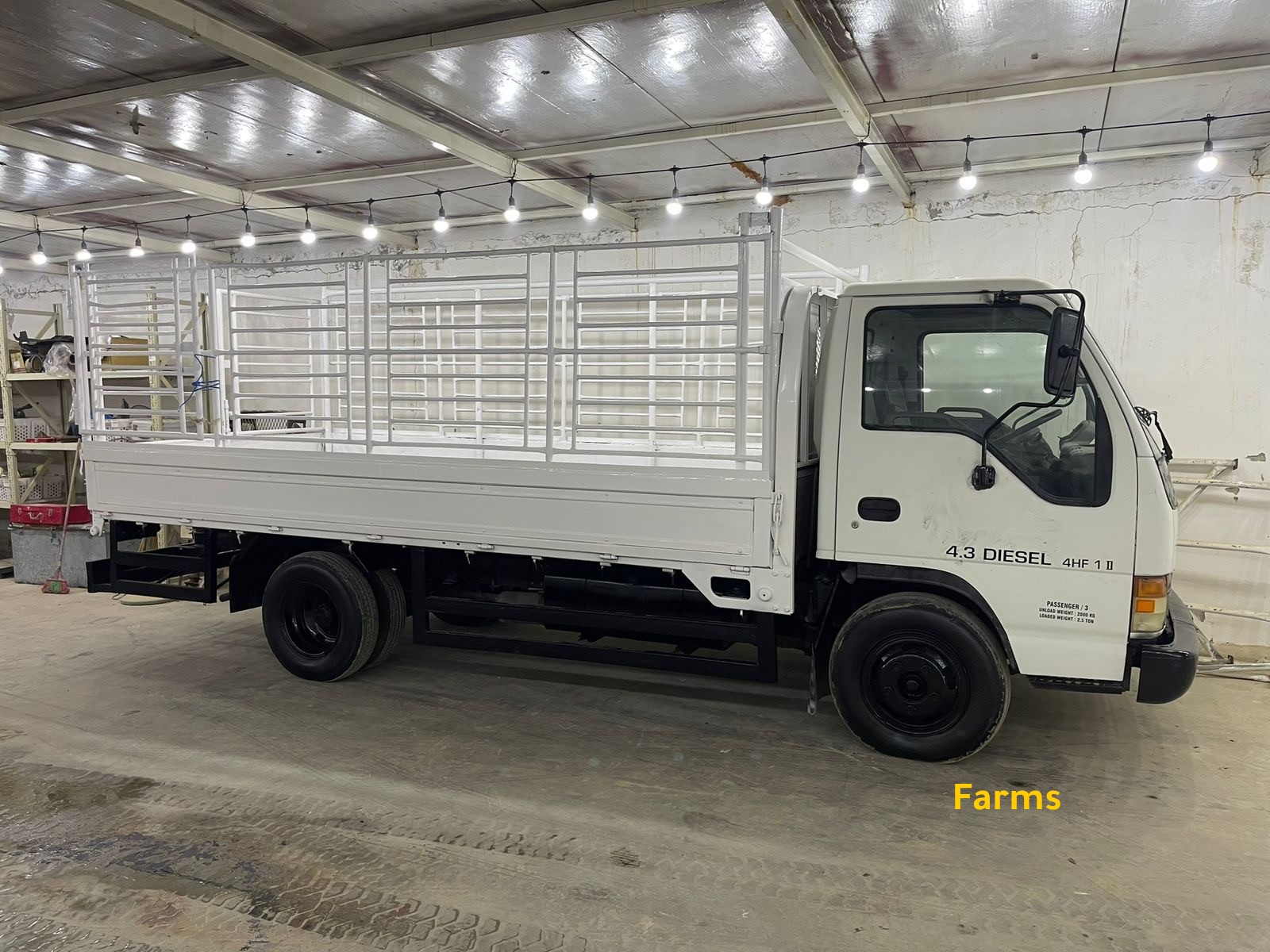 بكب ايسوزو 3 طن 2001