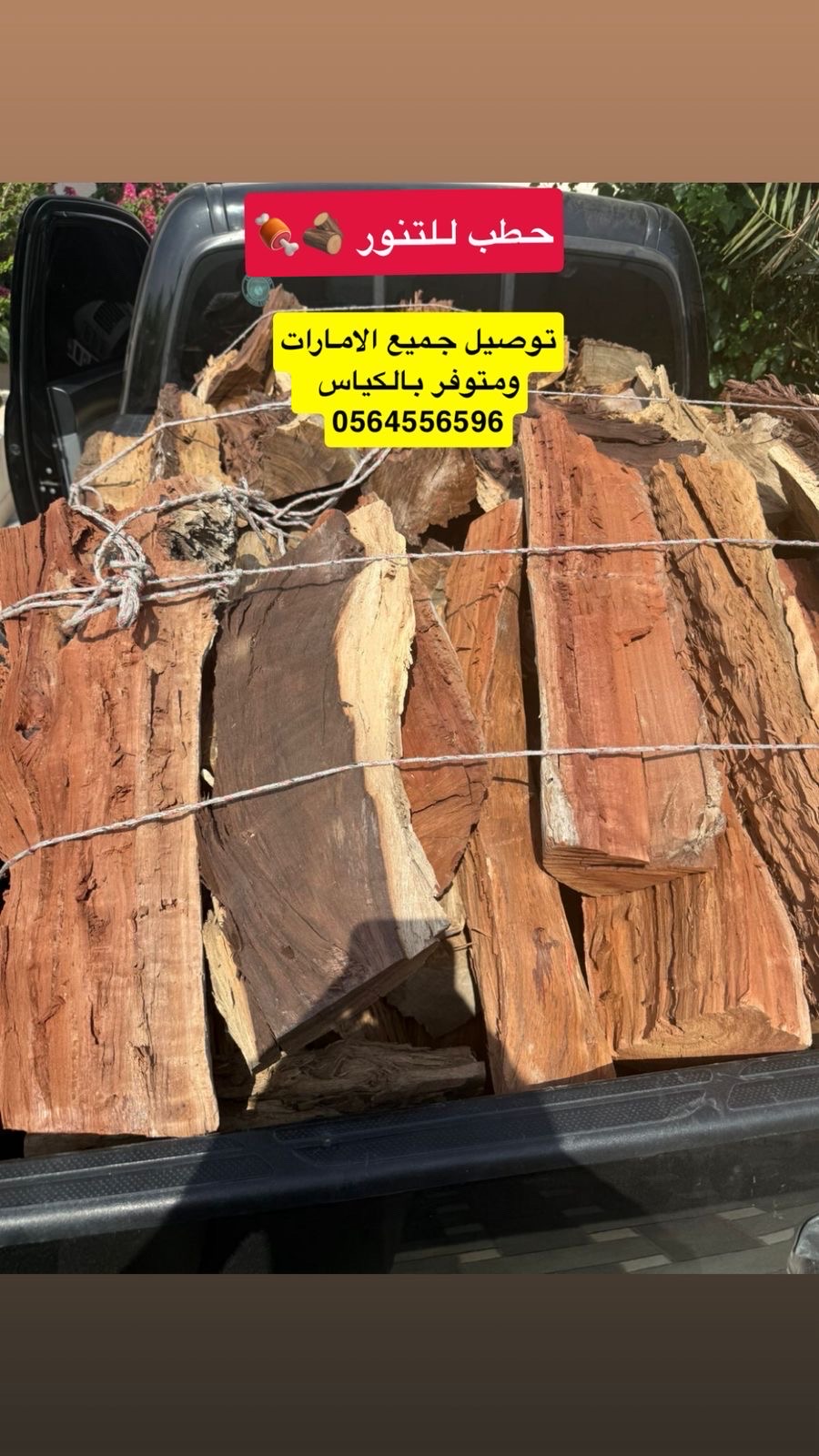 تنور العين
